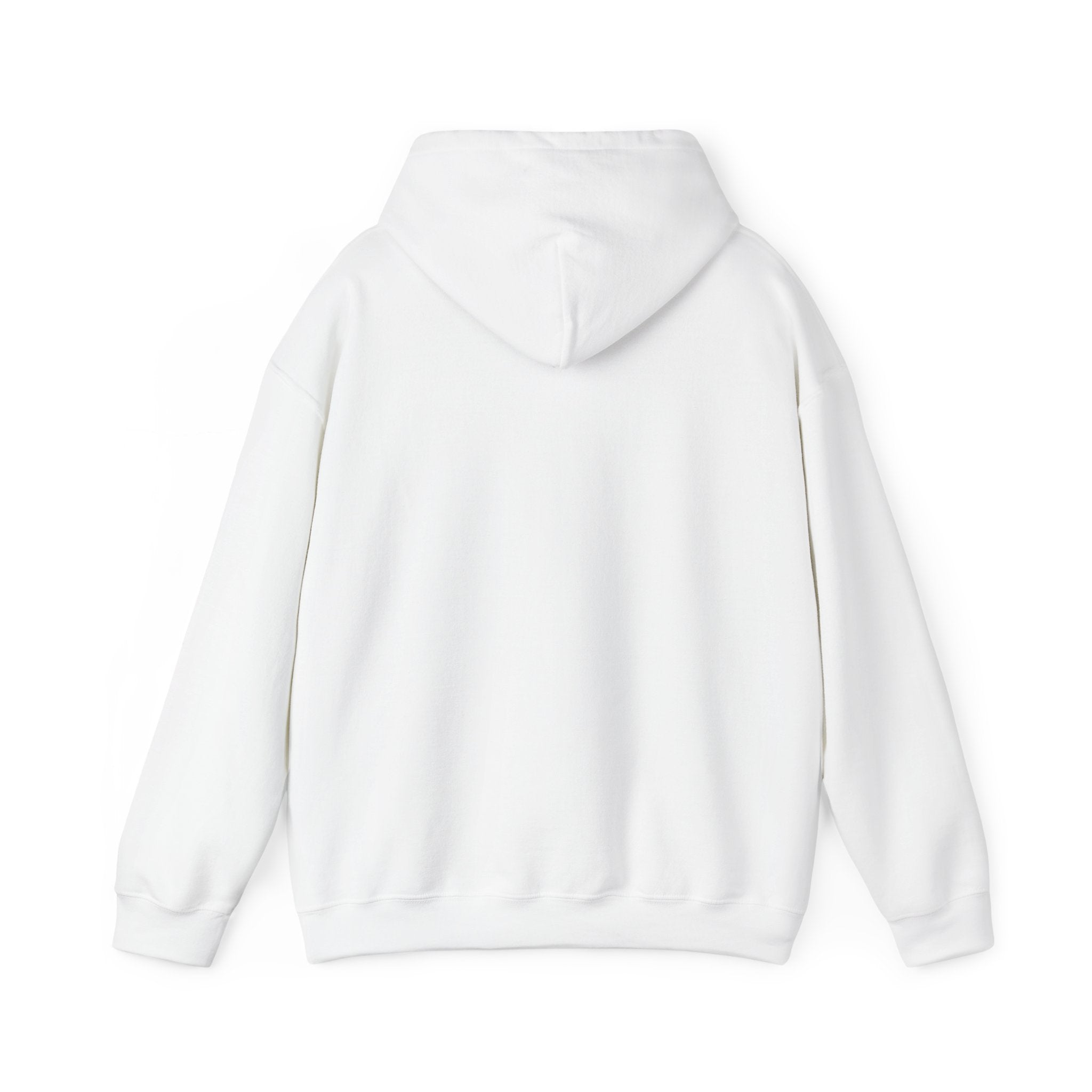 J316 Basic Hoodie