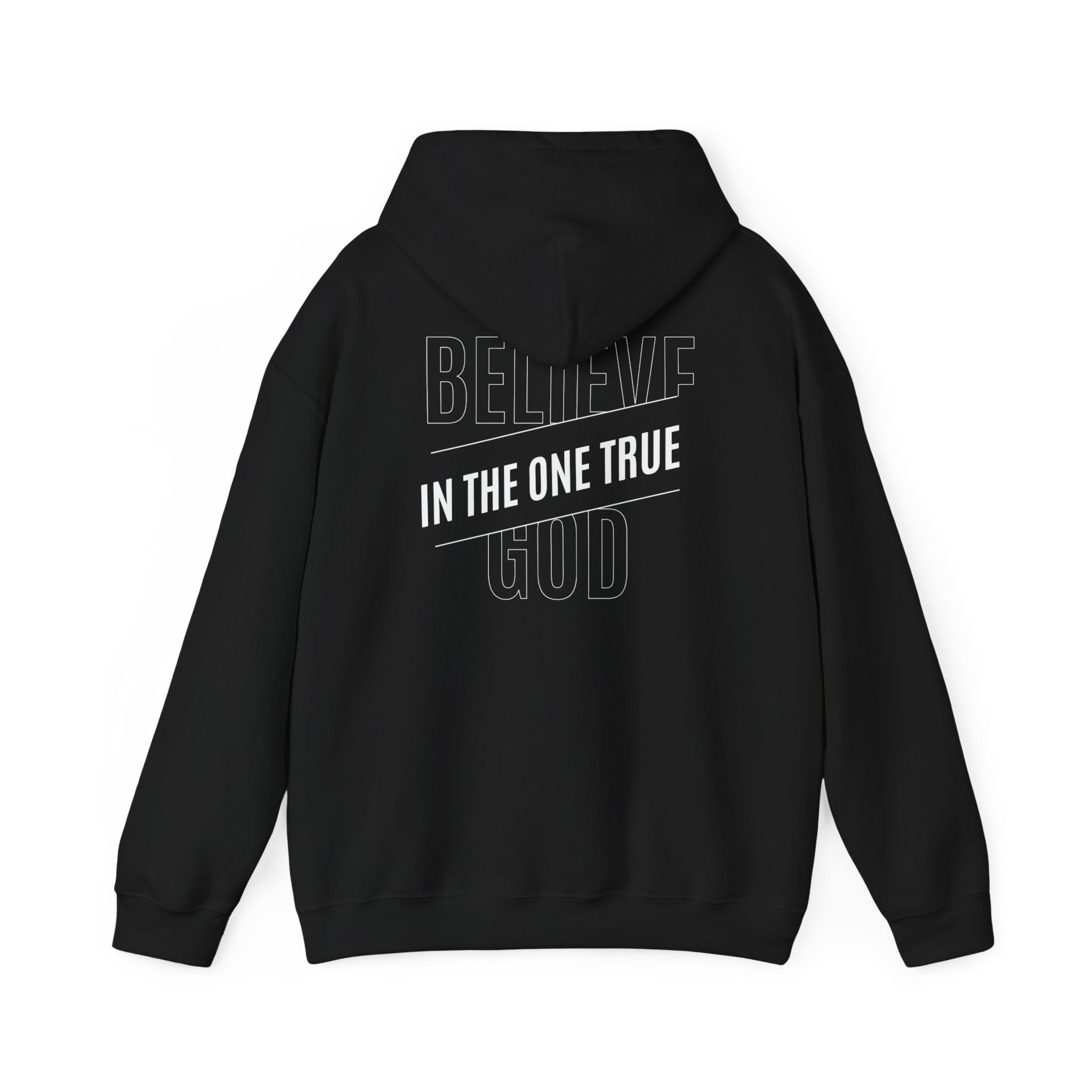 J316 Believe In The One True God Hoodie